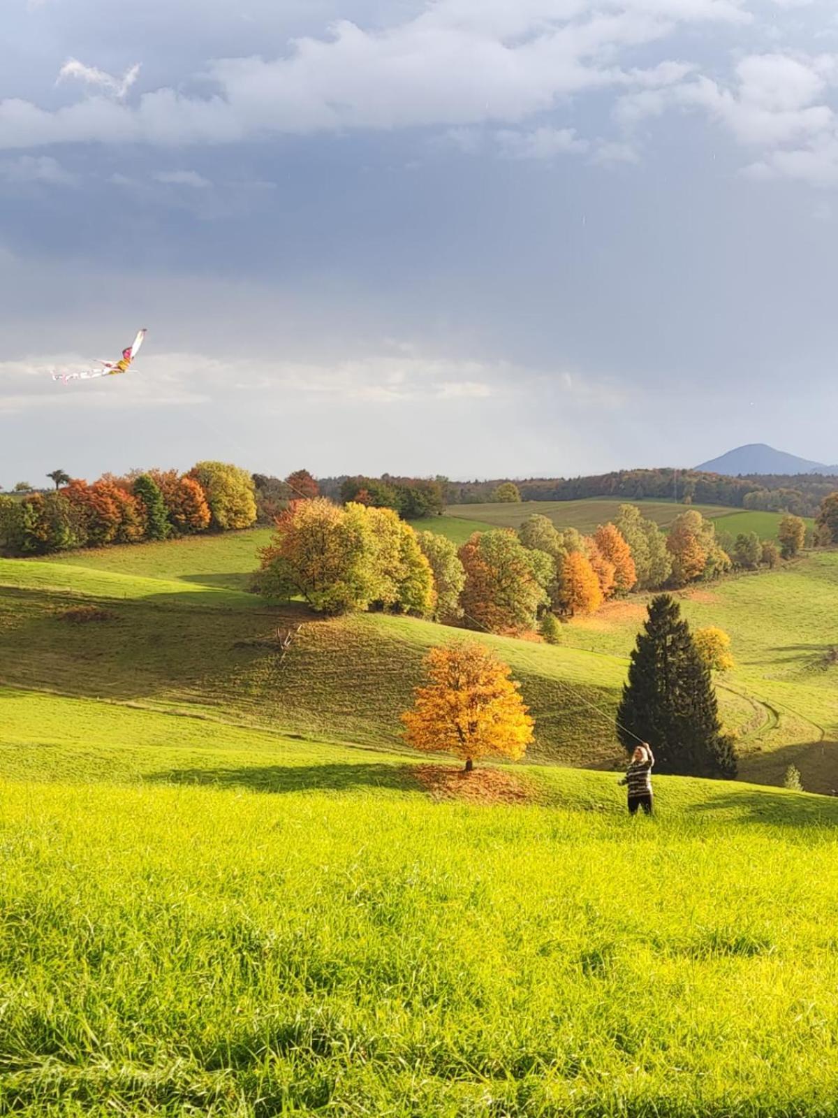 Kastanienhof Daire Hinterhermsdorf Dış mekan fotoğraf